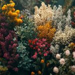 Créer des symphonies de couleurs avec vos plantes
